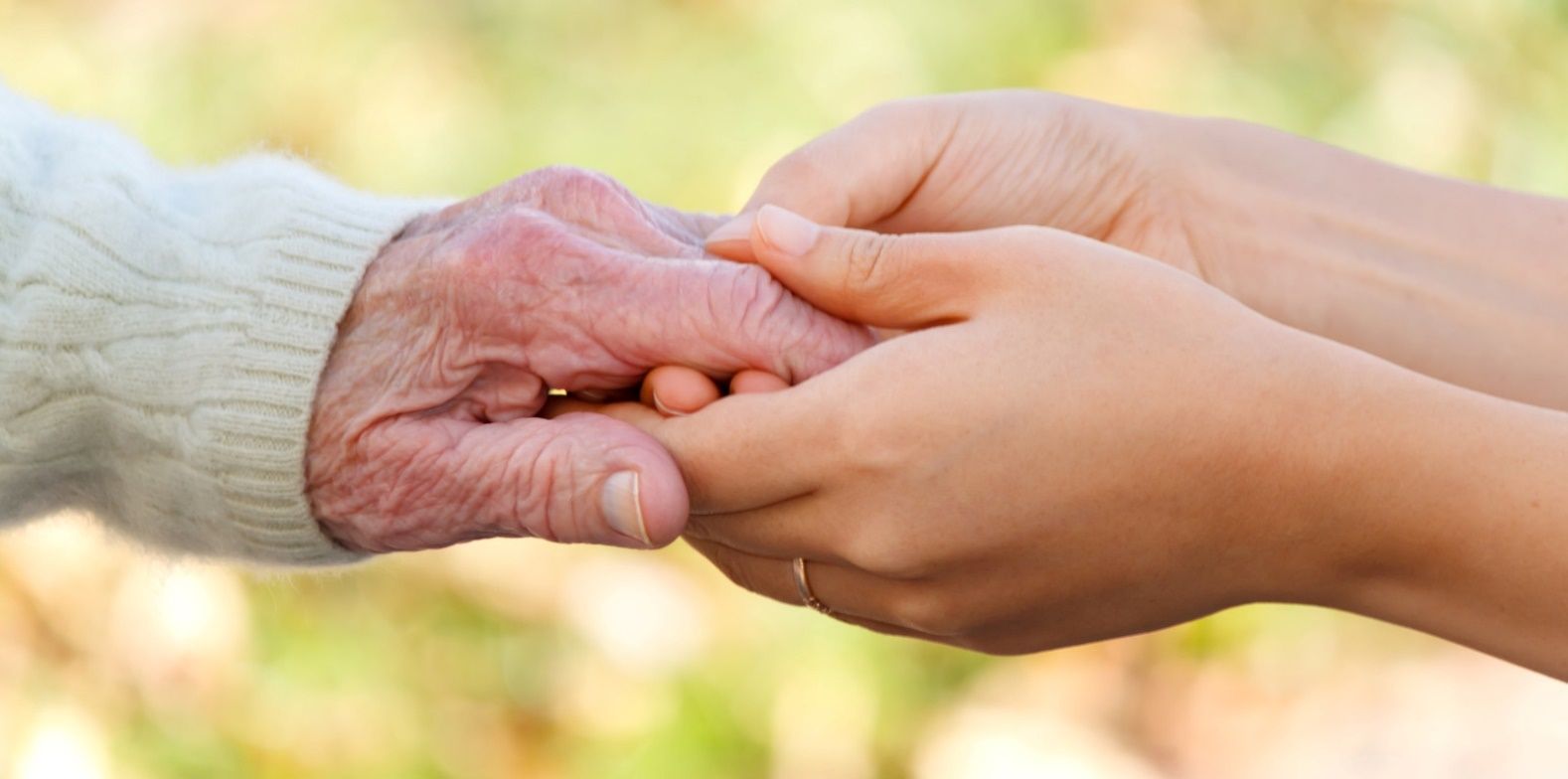 Elderly Care Services Market