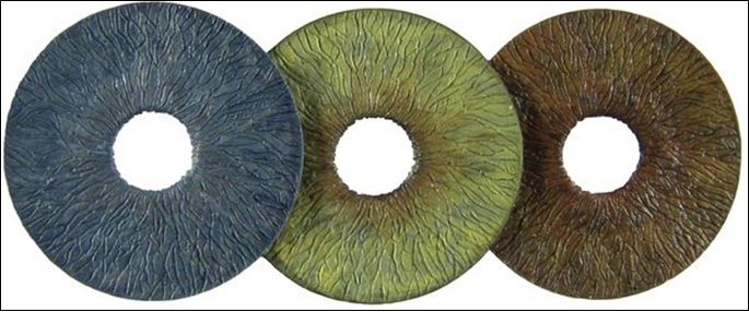 Artificial Iris Market