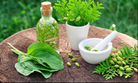 India Herbal Personal Care Product Market