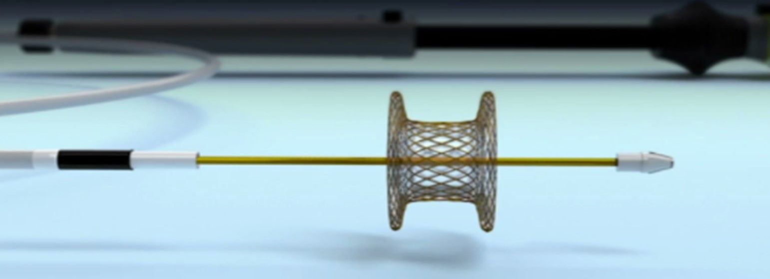 Markt für elektrokaustische verbesserte Zuführungssysteme