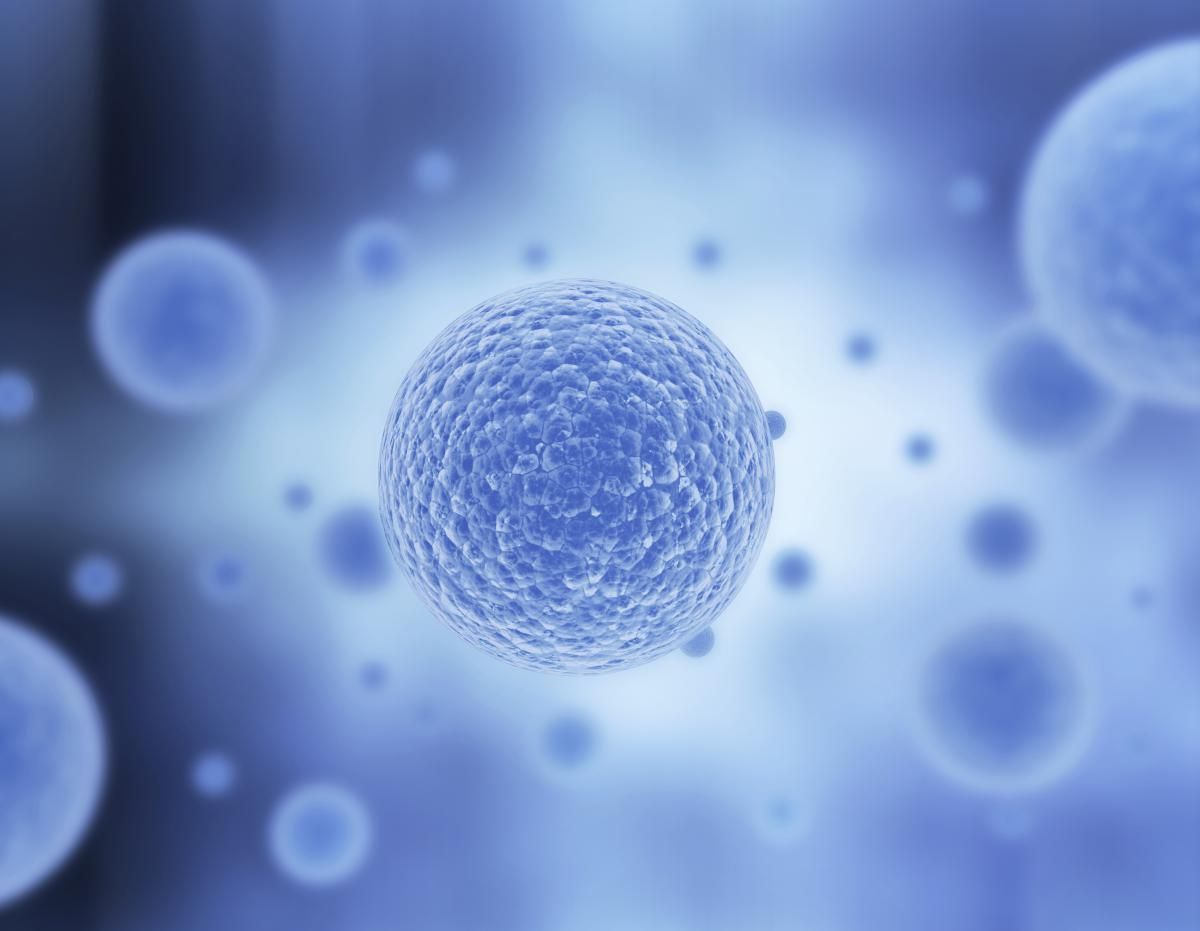 Single-Cell Analysis Market