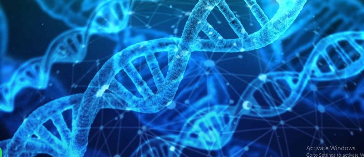 GLOBAL TISSUE ENGINEERING MARKET