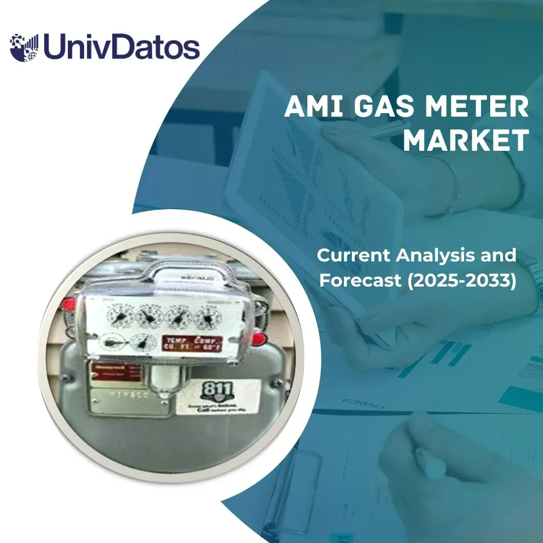 AMI Gas Meter Market
