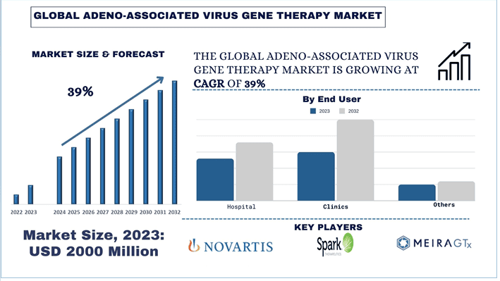 Adeno-associated Virus Gene Therapy Market Size & Forecast