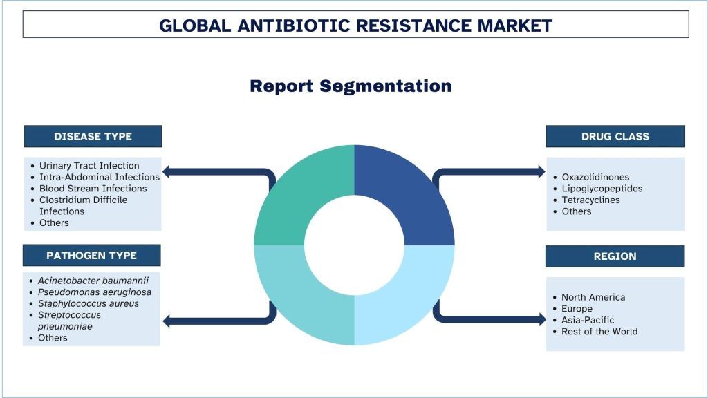 Antibiotic Resistance Market Segmentation