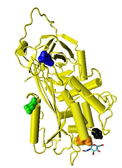 Antithrombin Market