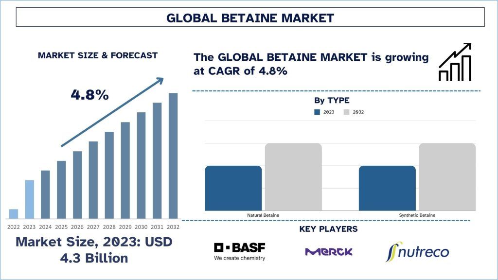 Betaine Market Size & Forecast