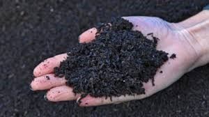 Biochar Market