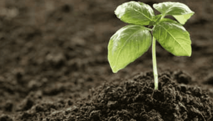 Biofertilizers Market