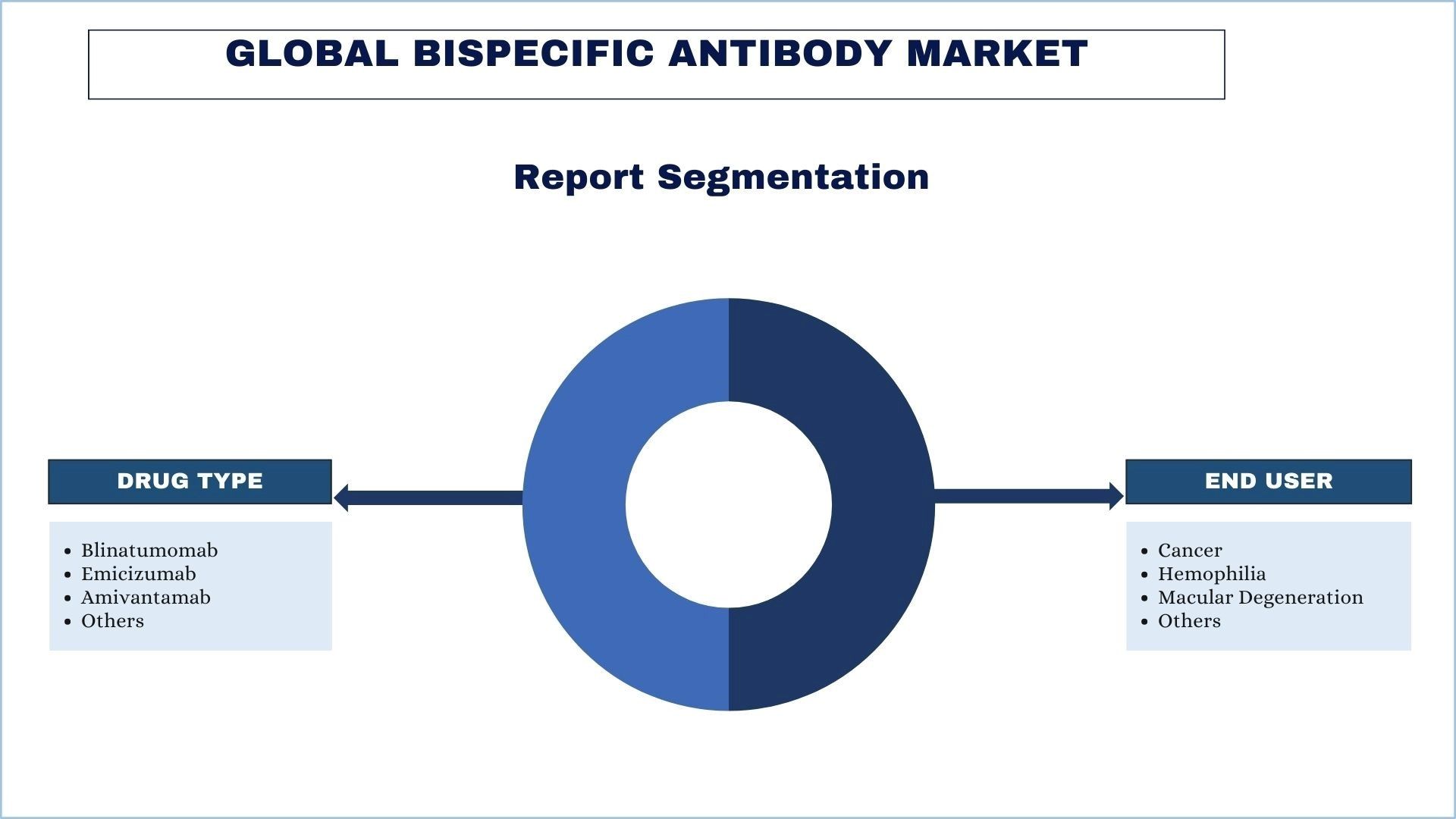 Bispecific Antibody Market report segmentation