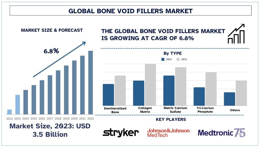 Bone Void Fillers Market Forecast