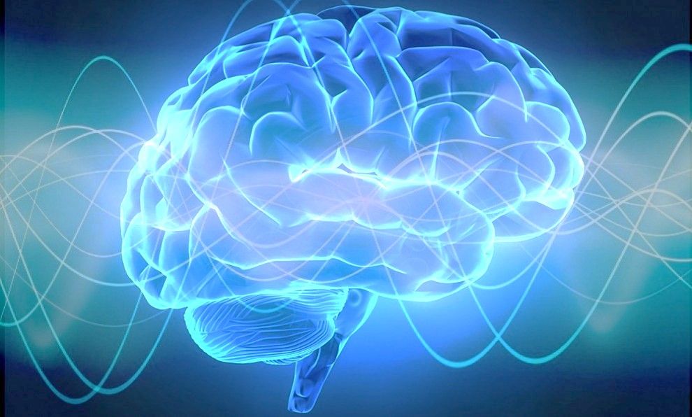 Brain Monitoring Market