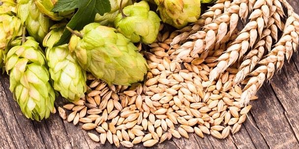 Brewing Ingredients Market