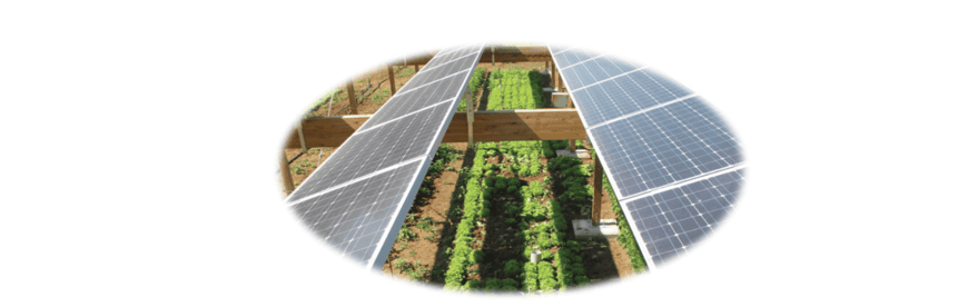 Agrivoltaic market