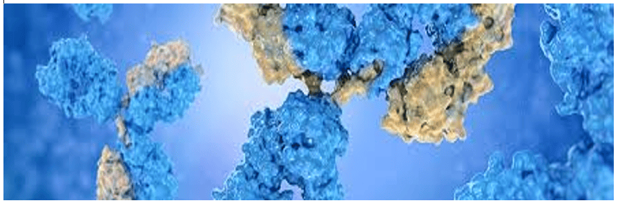 Protein Characterization & Identification Market