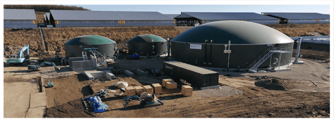 Biogas Market