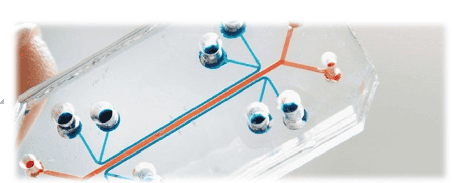 Organs-On-Chips Market