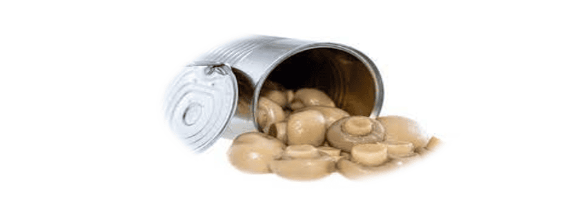 Canned Mushroom market