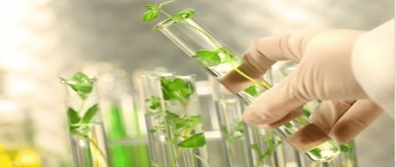 Green Chemicals Market
