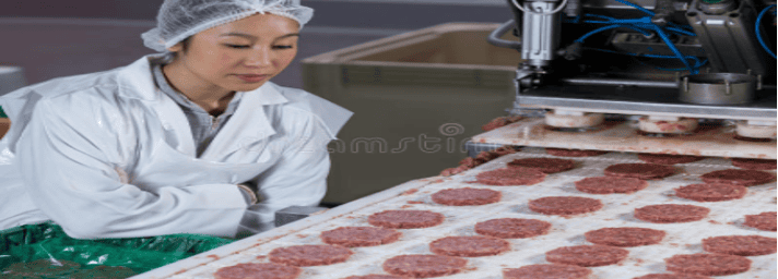 Meat Processing Equipment Market