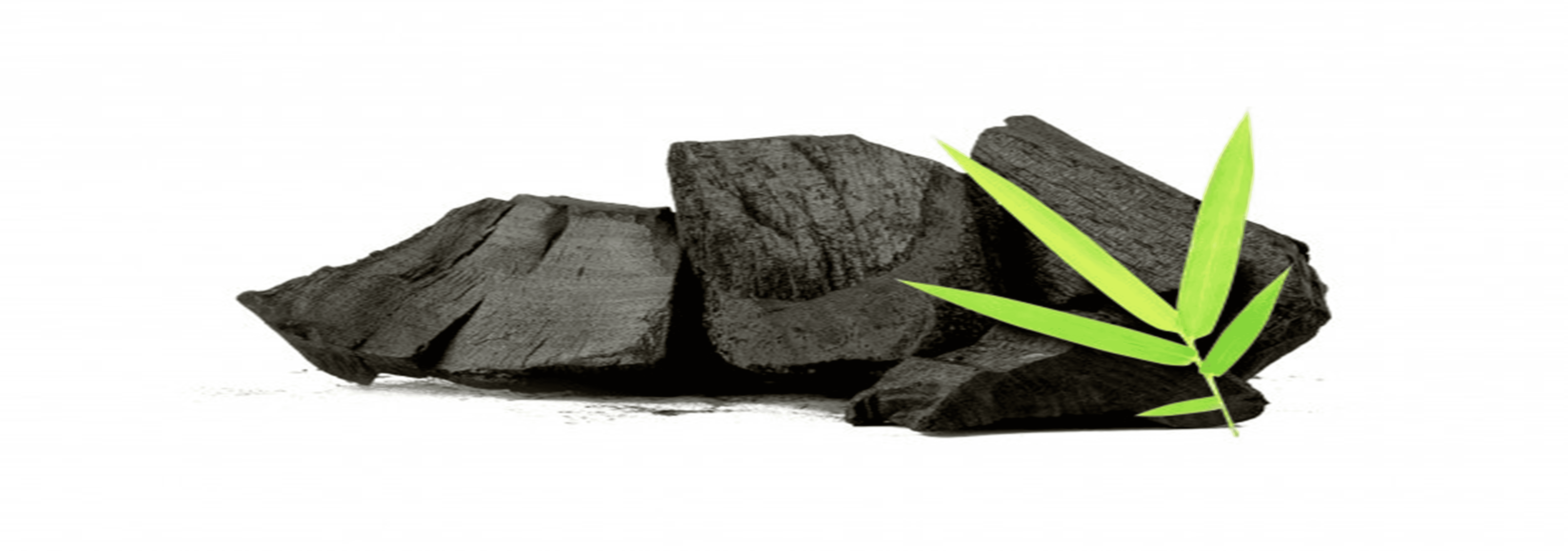 Charcoal Market
