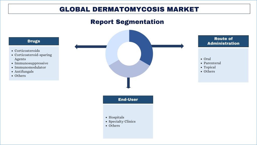 Dermatomycosis Market Segmentation