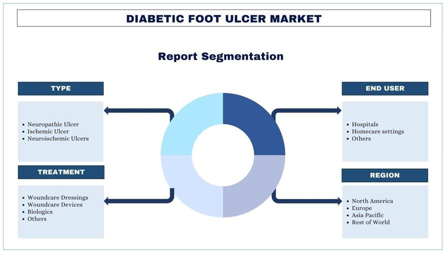 Diabetic Foot Ulcer Market Segment