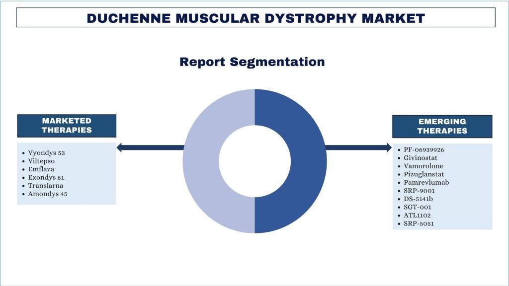 Duchenne Muscular Dystrophy Market Report Segmentation