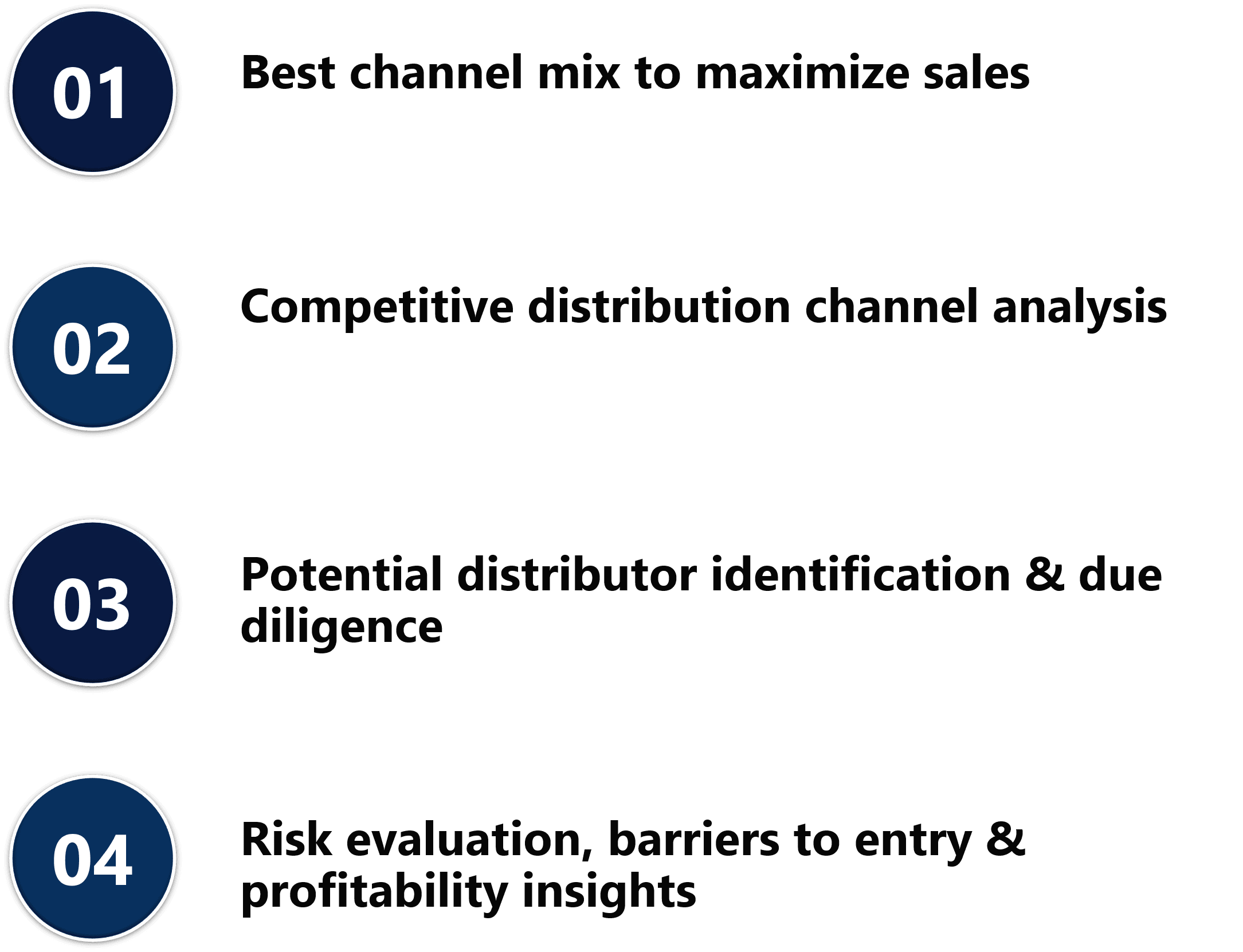 Four-step GTM framework covering channel mix, competitive analysis, distributor identification, and risk evaluation