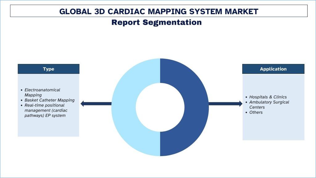 Global 3D Cardiac Mapping System Market Report Segmentation