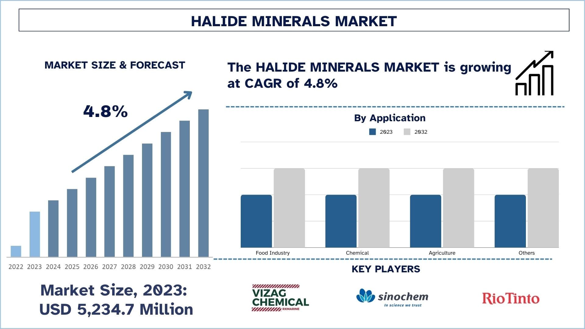 Halide Minerals Market Size & Forecast.jpg