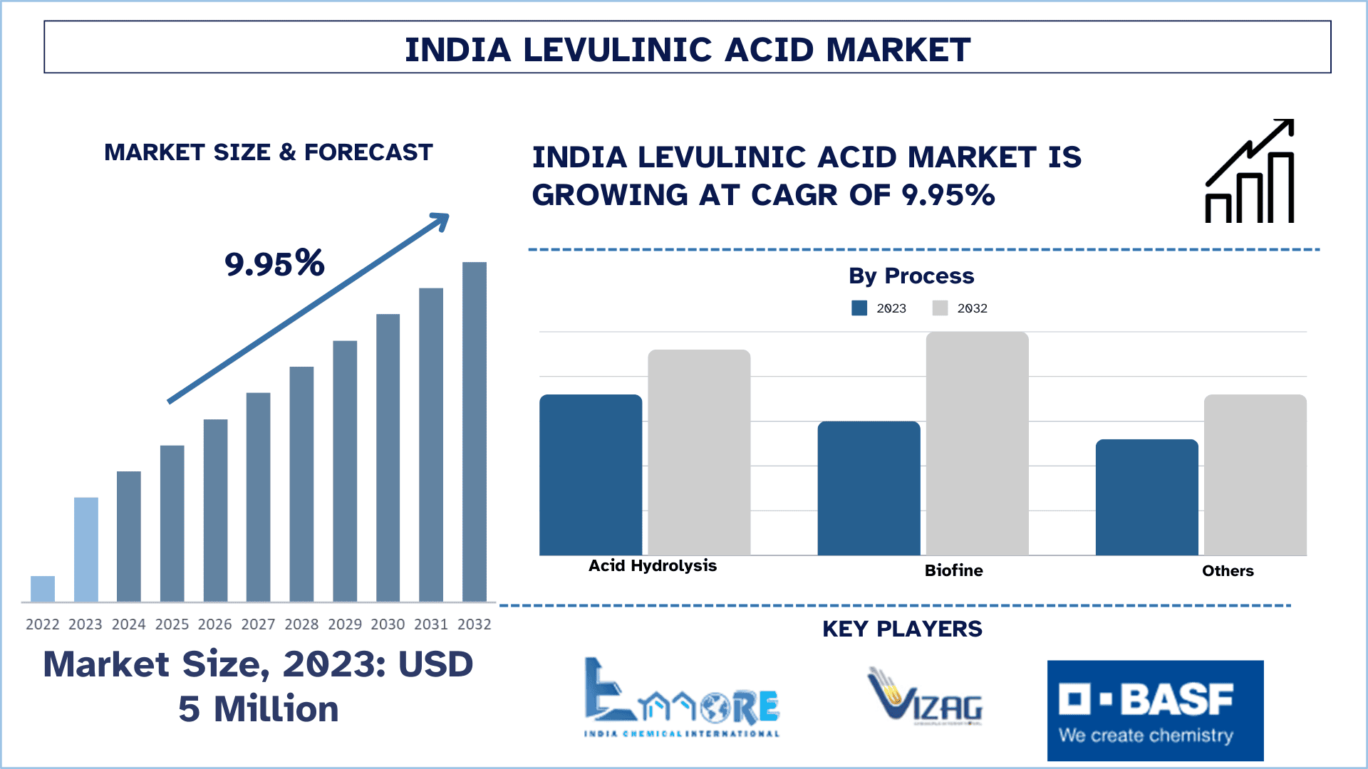 India Levulinic Acid Market Size & Forecast.png