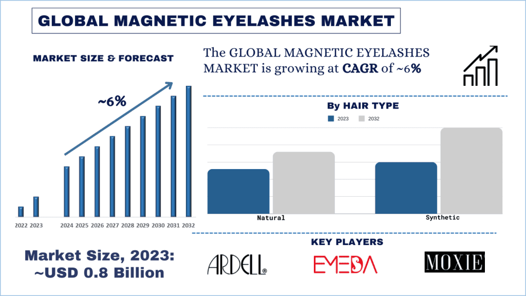 Magnetic Eyelashes Market Size & Forecast