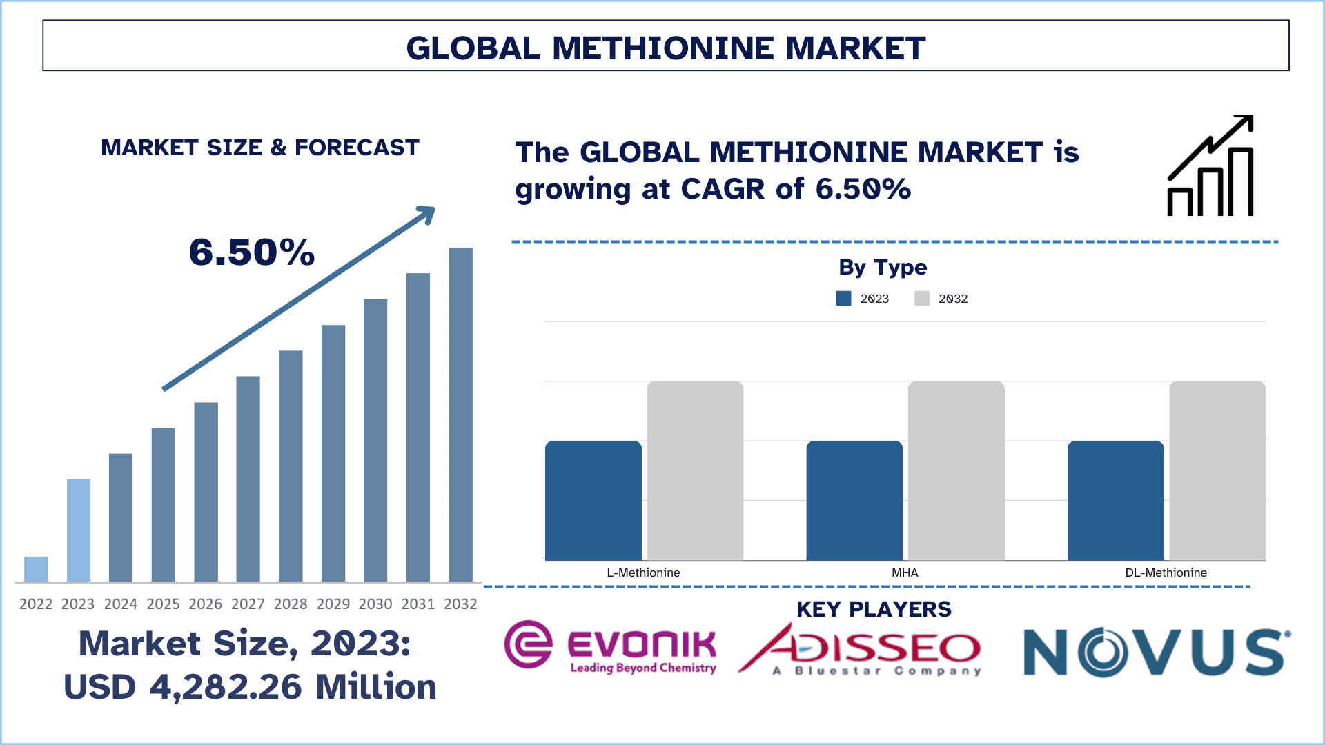 Methionine Market Size & Forecast.png