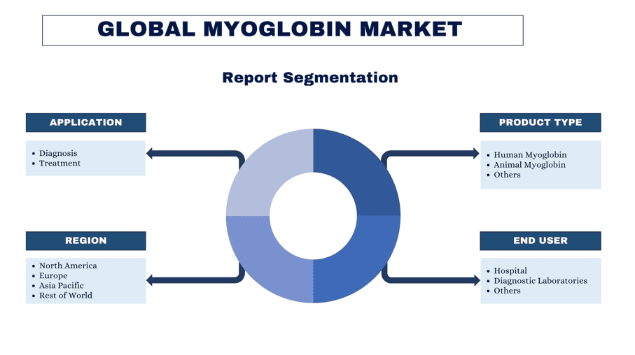 Myoglobin Market report segmentation