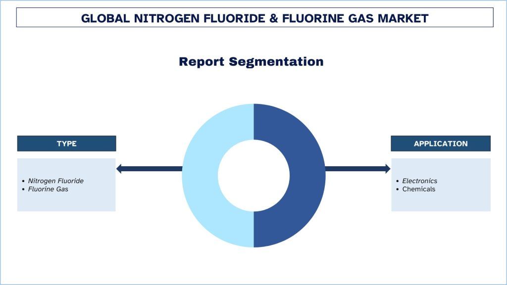 Nitrogen Trifluoride & Fluorine Gas Market Segmentation