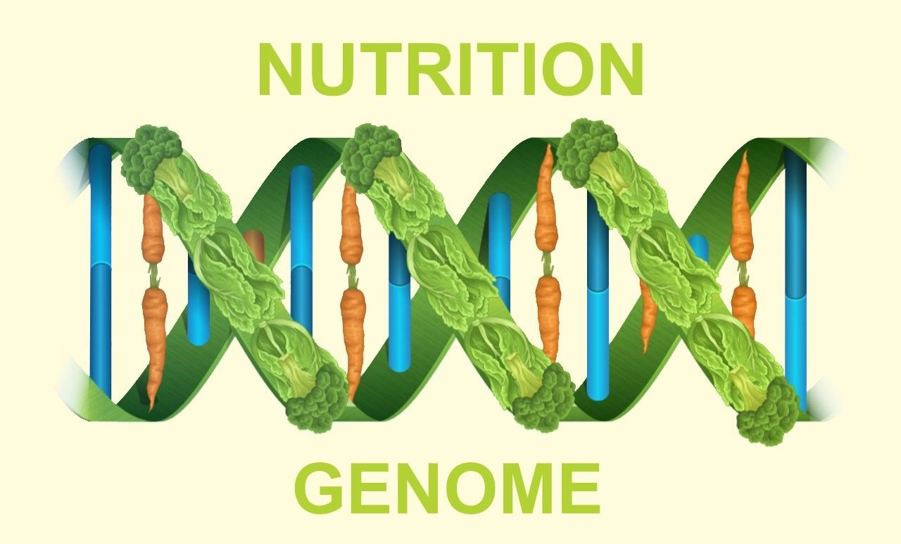 Nutrigenomics Market