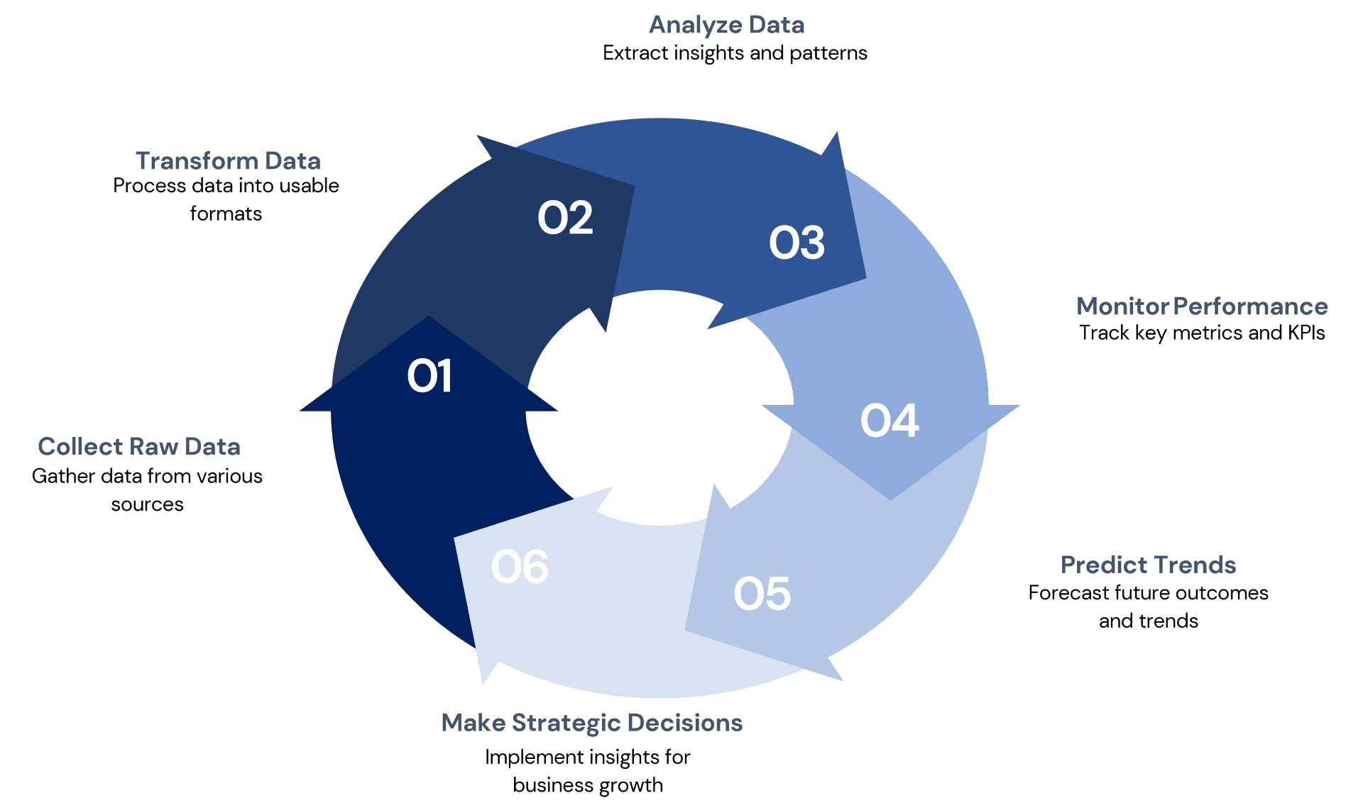 Business Intelligence Services