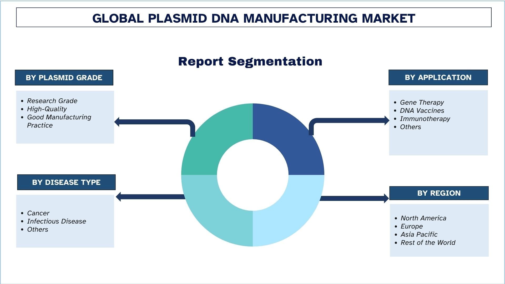 Plasmid DNA Manufacturing Market Segmentation