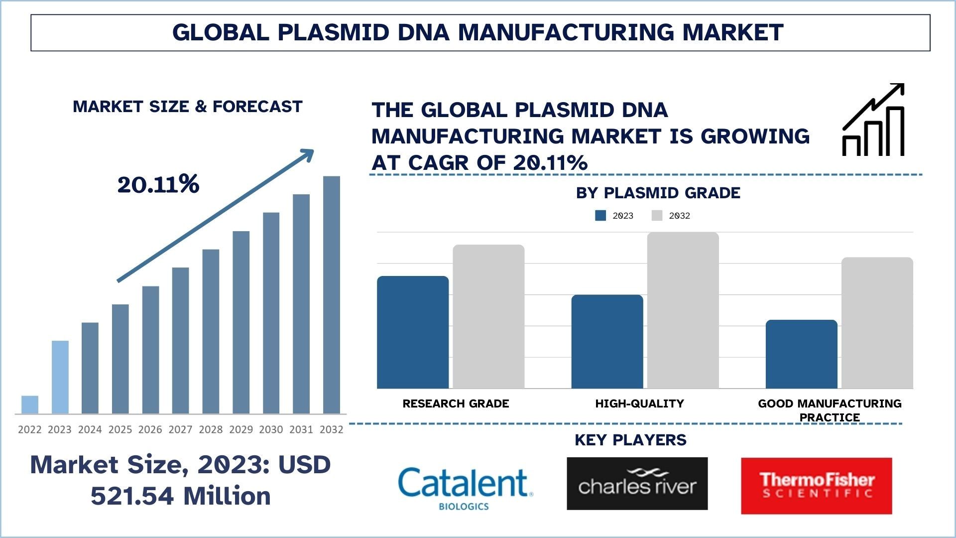 Plasmid DNA Manufacturing Market Size & Forecast