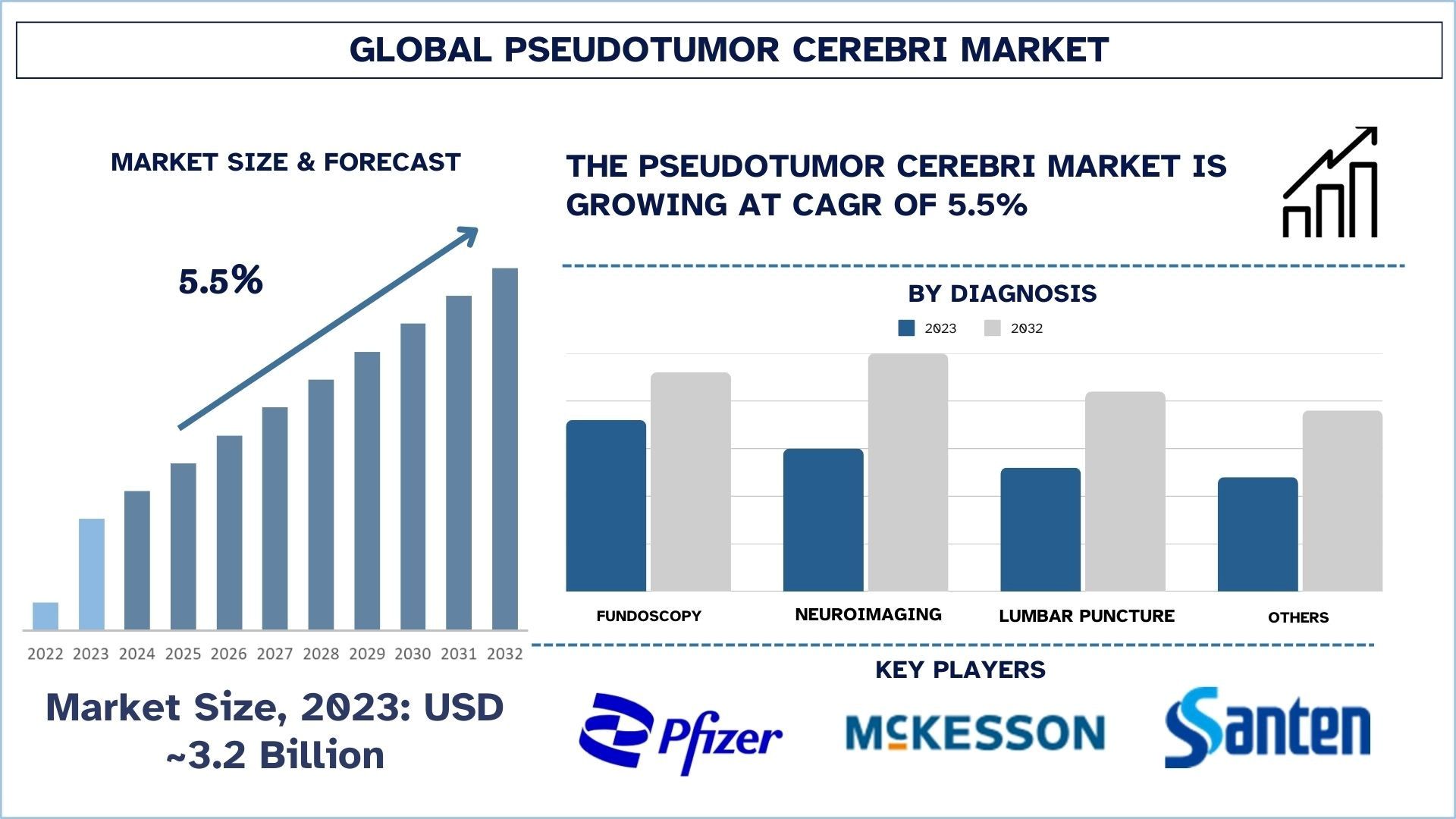 Pseudotumor Cerebri Market Size & Forecast