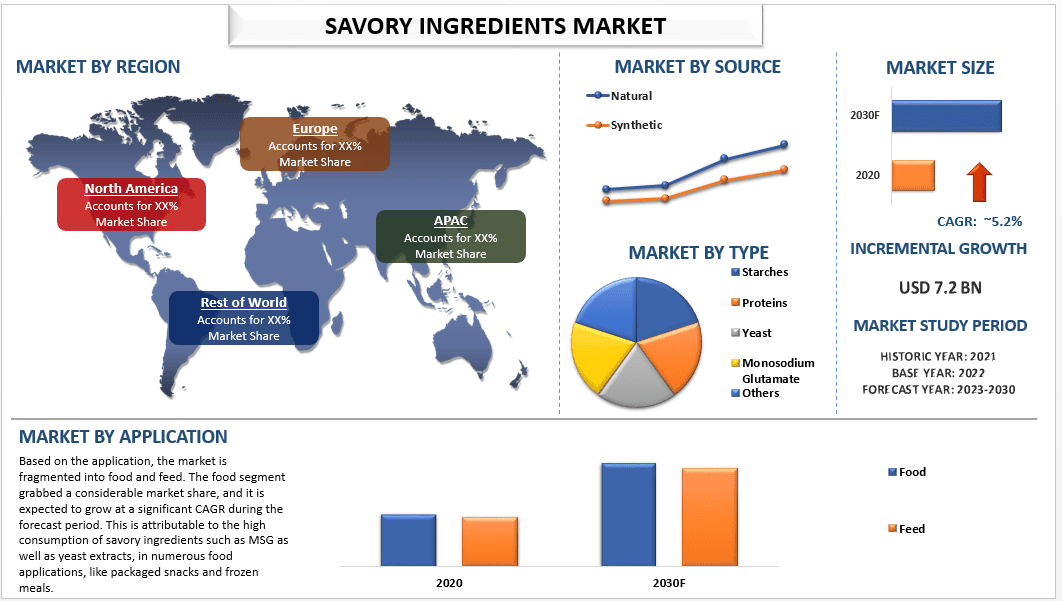 Savory Ingredients Market