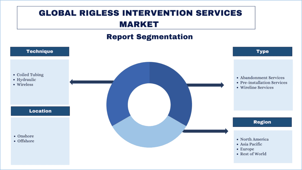 Rigless Intervention Services Systems Market segmentation