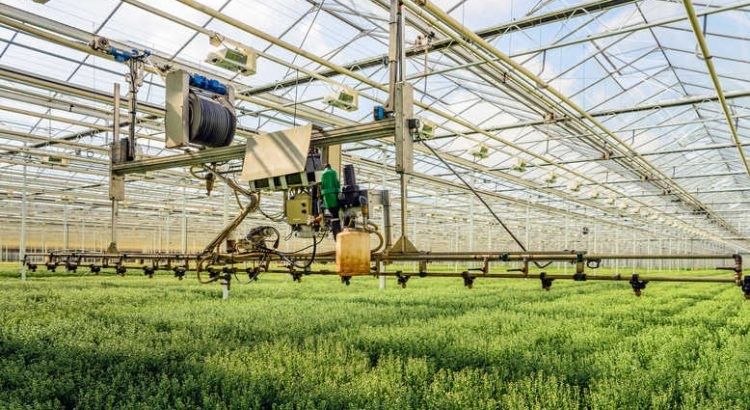 Smart Plantation Management Systems