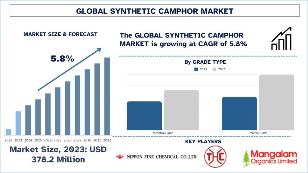 Synthetic Camphor Market Size & Forecast