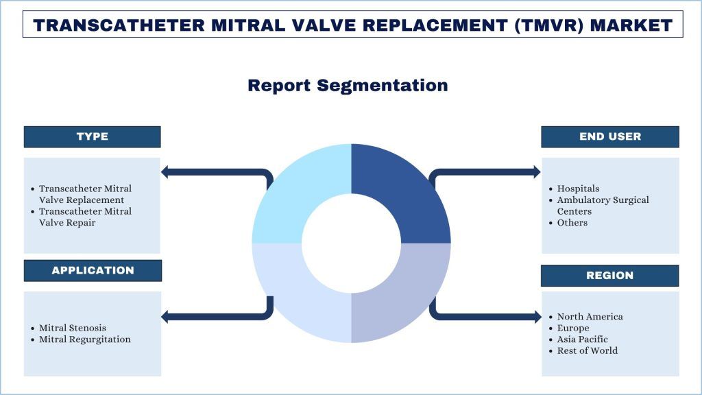 Transcatheter Mitral Valve Replacement Report Segmentation