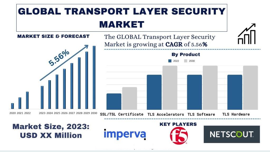 Transport Layer Security Market size & forecast