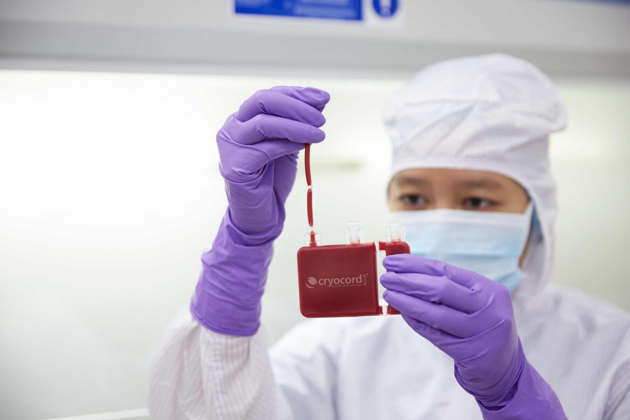 Veterinary Dental Equipment Market