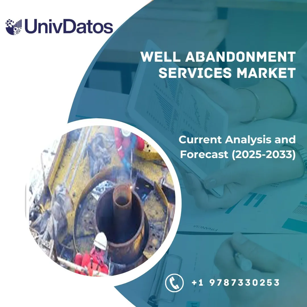 Well Abandonment Services Market