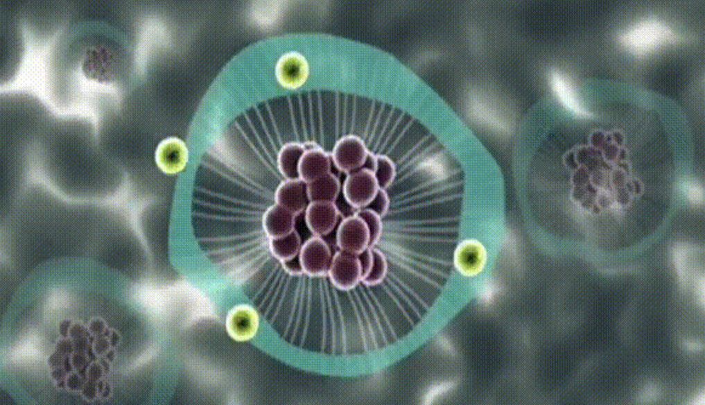 antiviral coating market